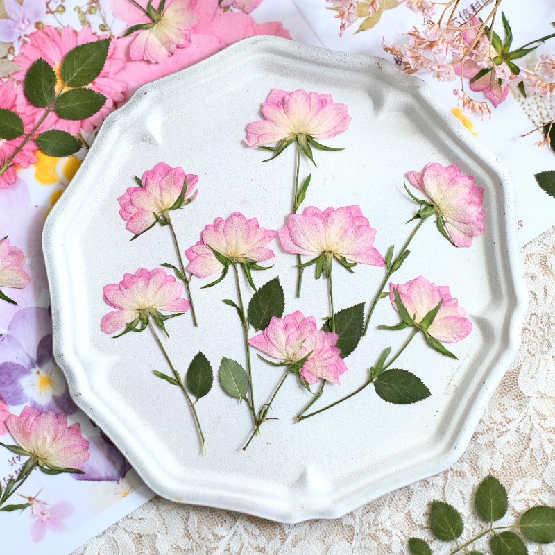 Resin Art Baby - 12 Stück, echte getrocknete gepresste Blumen