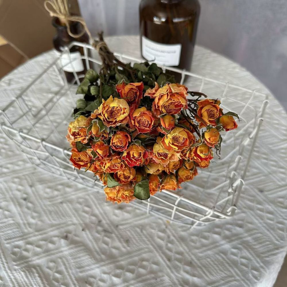 Echte konservierte Rosen, getr – Resin Art Rose Bewertung und Preis