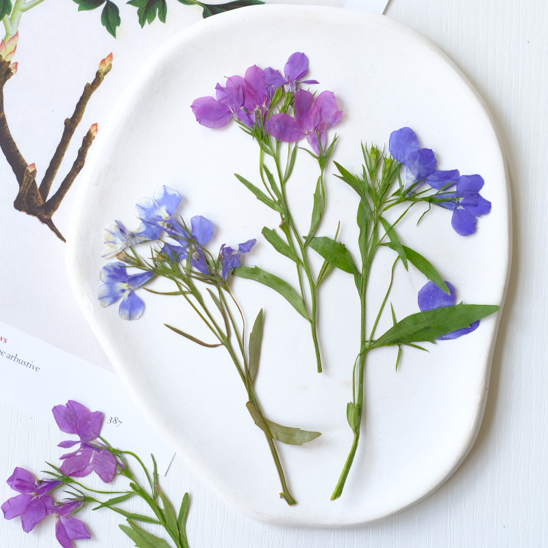 6 Stück/8–13 cm, natürliche Lo – Resin Art Baby Bewertung und Preis