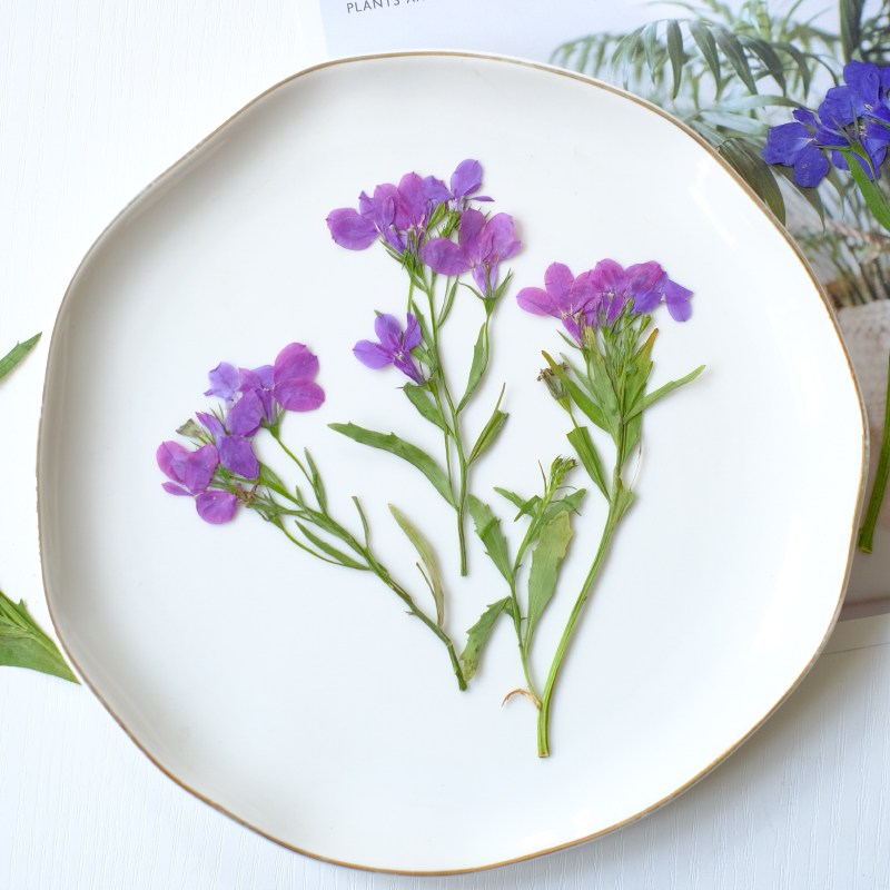 6 Stück/8–13 cm, natürliche Lo – Resin Art Baby Bewertung und Preis