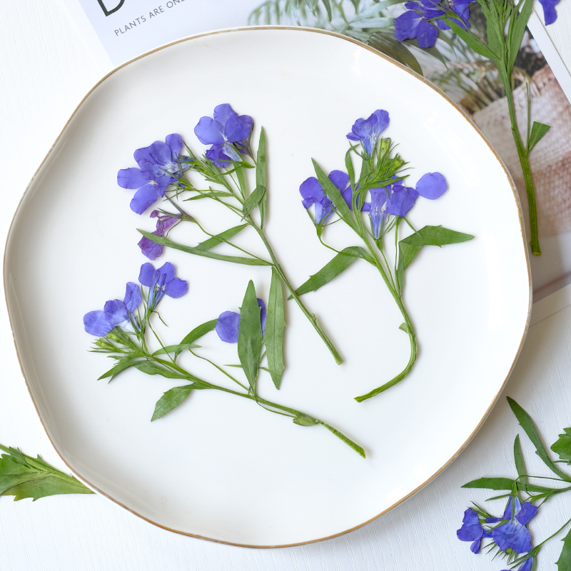 6 Stück/8–13 cm, natürliche Lo – Resin Art Baby Bewertung und Preis